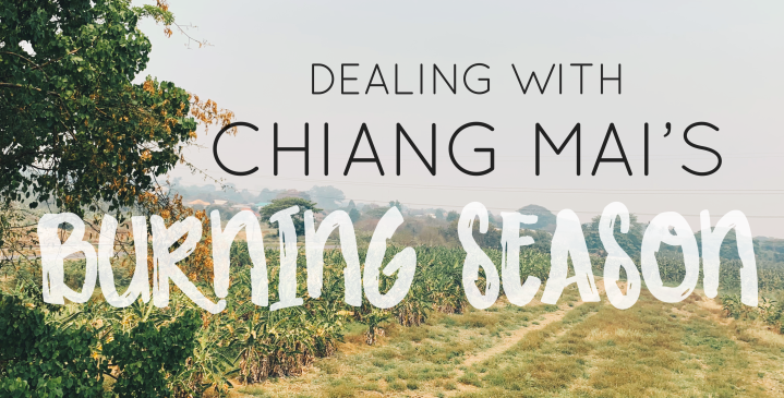 How to Deal with Chiang Mai’s Burning Season